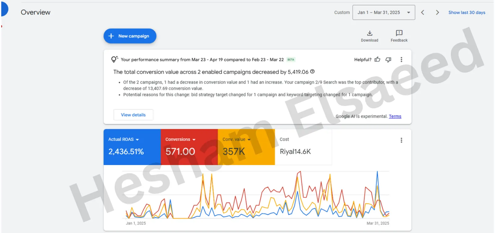 Google Ads · Jan – Mar 2025