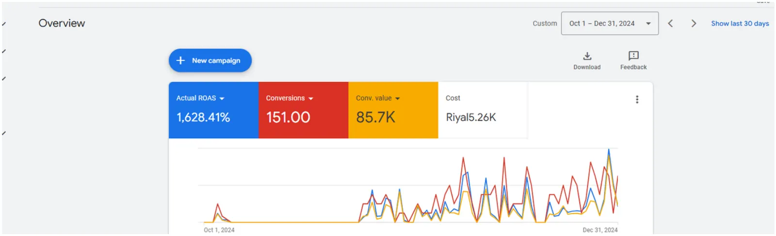 Google Ads · Oct – Dec 2024