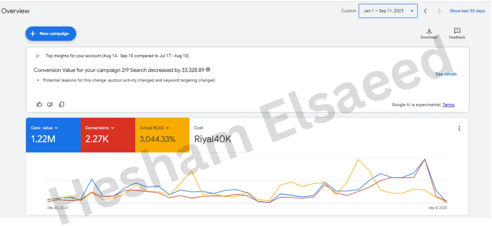 Google Ads · Jan 1 – Sep 11, 2025